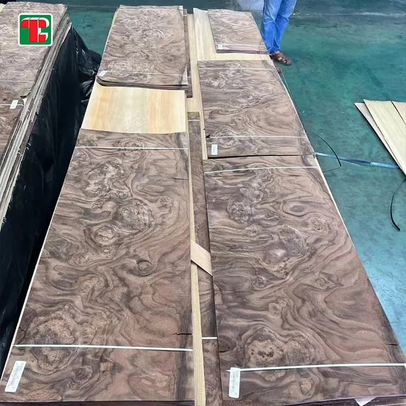 Black Walnut Burl Natural Wood Veneer