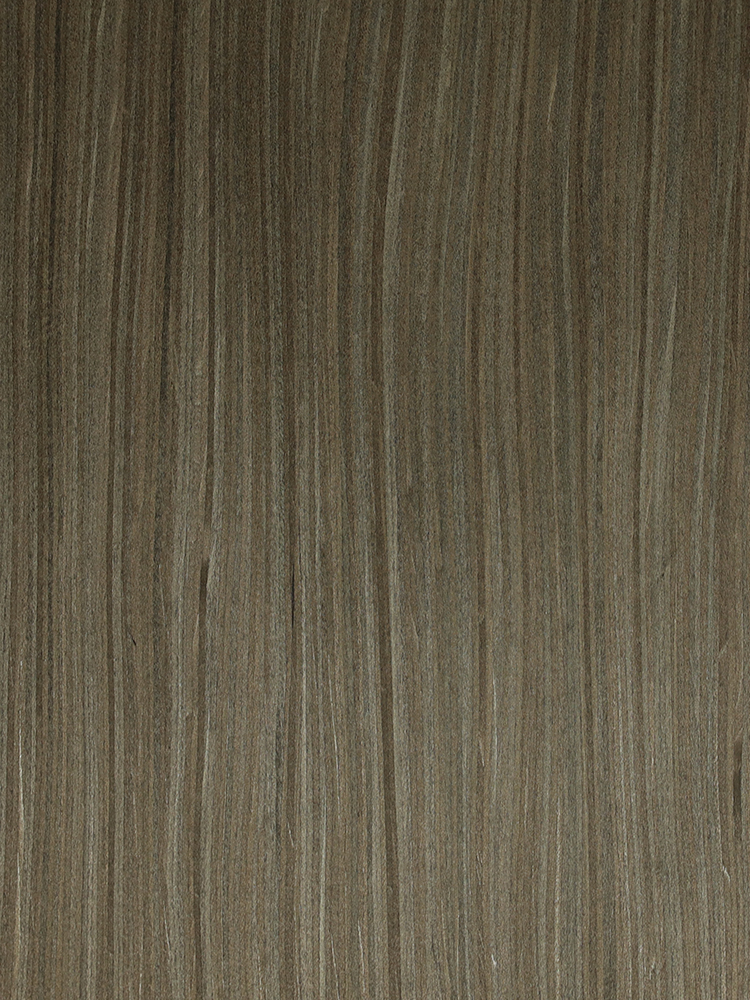 TL-H-2802