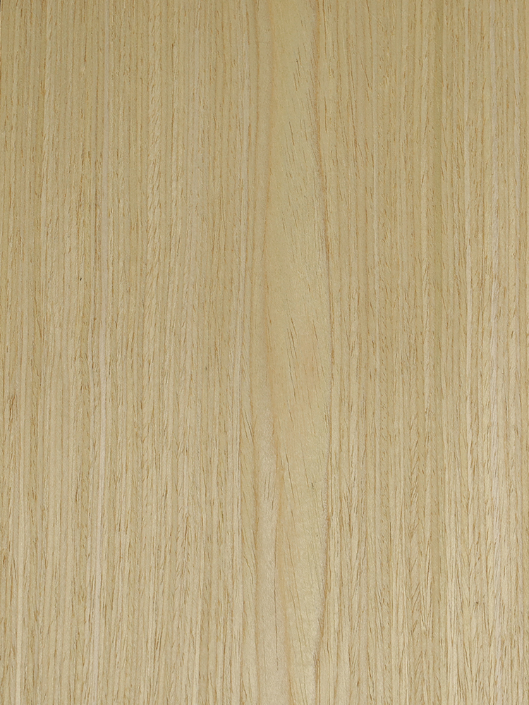 TL-H-4002N