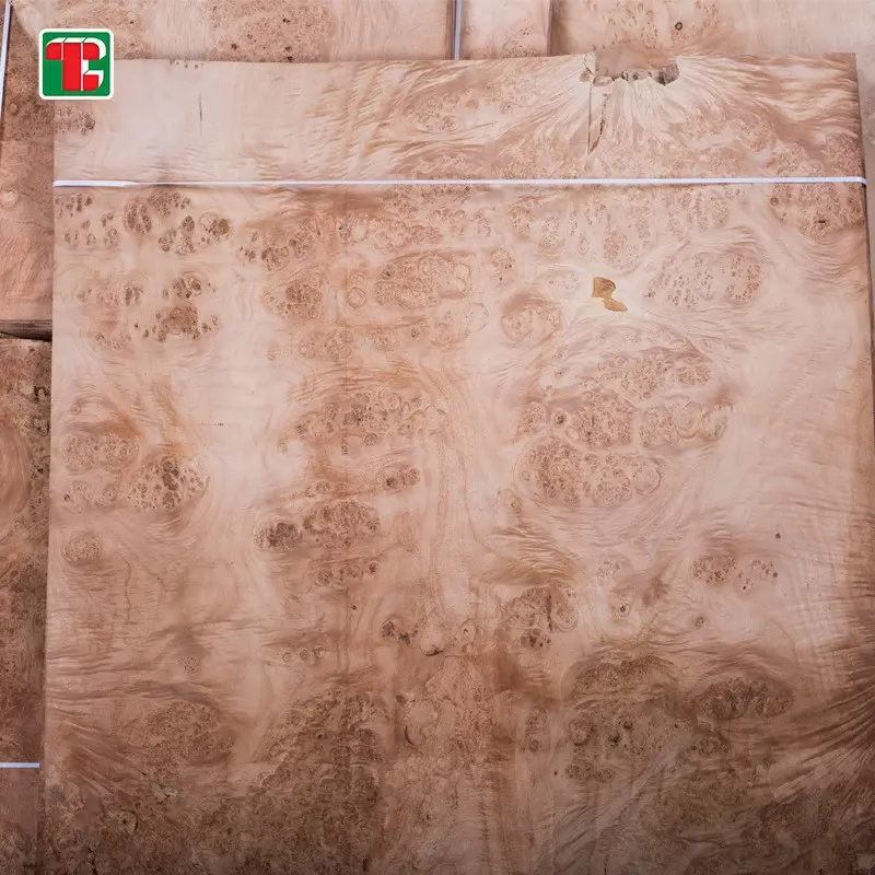 Mappa Maple Burl Natural Wood Veneer Sheets